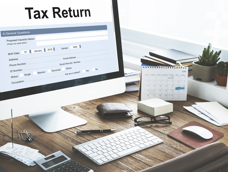 What are the Risks of Using Tax Preparation Software versus a Professional?